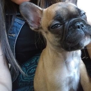 Meet your Posher, Nidia